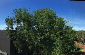 Apartament Kolska - Foto 13