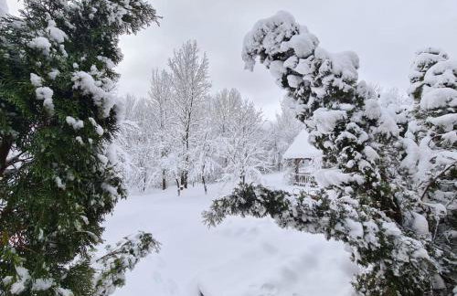 Relaxing Mountain House Poljana in Lika - Foto 7