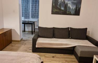 SAWAGO przytulne mieszkanie u Gosi Lekowo Ciechanów - Foto 3