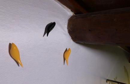 I Fiori nel golfo di Baratti - Foto 22