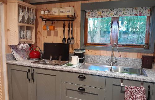Little Greenwood Shepherd Hut - Sleeps 2 - Foto 37