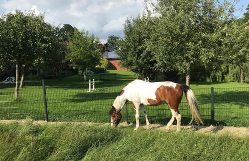 Gutshof Schulze-Althoff - Photo 31