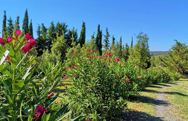 Villa San Martino - Foto 20