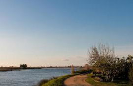 Bandeira'S house - Foto 36