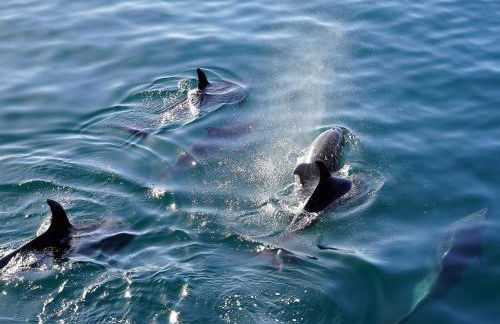 Tranquil Stay Near Audierne - Foto 62