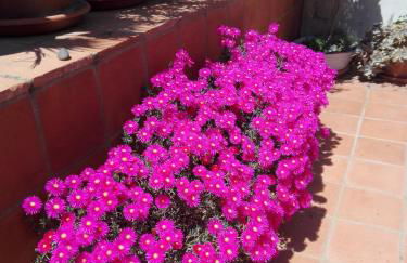 Casa Batalla - Foto 23