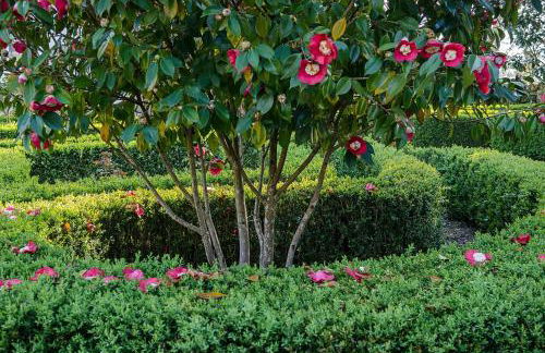 Solar de Serrade - Foto 26