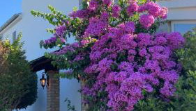 Villa Rossi - Photo 2