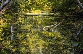 Water Hideout - Floating Luxury in Pure Wilderness - Foto 48