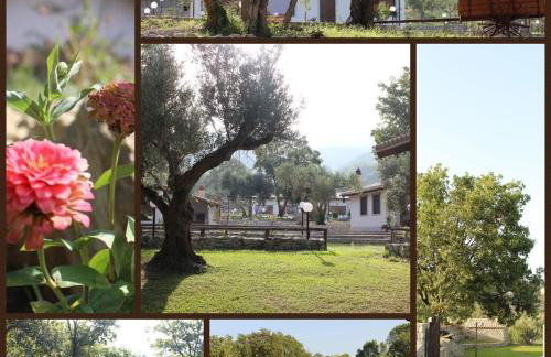 AGRI ART - Foto 28