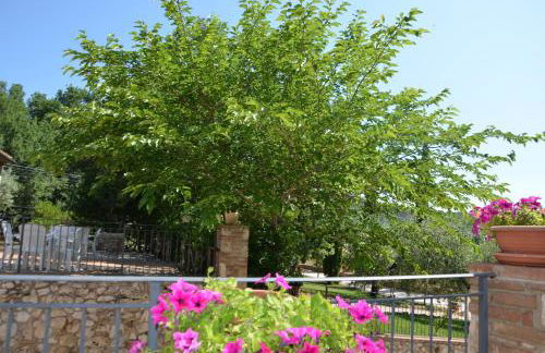 Casale Santa Caterina - Foto 8