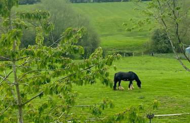 Field View - Photo 19