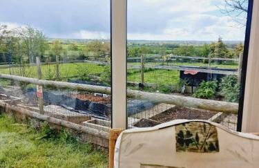 Tanglewood - Photo 29