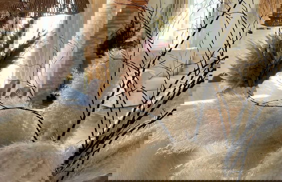 Agriturismo Antica Corte - Foto 80