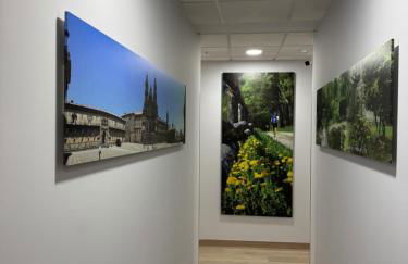 Apartamentos Turisticos Peregrin Palas - Foto 9