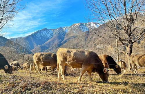 Ático turistico en Durro - La Vall de Boí - Foto 30