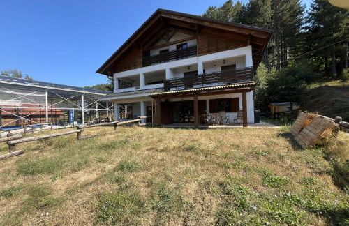 Tra il bosco e il lago - Foto 20