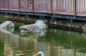 Paraíso do Lago em Itaipava - Foto 42