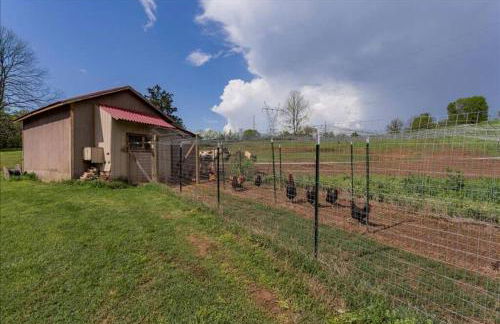 Peaceful Historic Villa with Hot Tub & Pool near Downtown Nashville, Tennessee - Photo 61