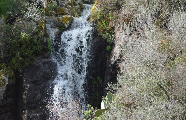 Residenza Al Castello - Photo 48