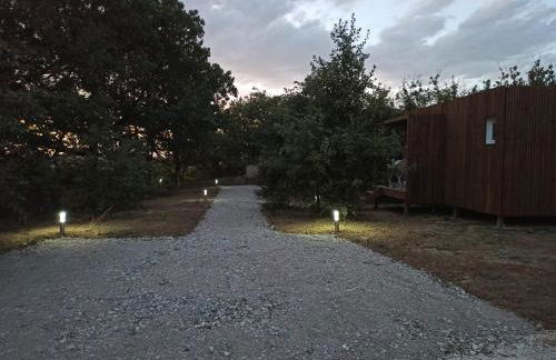 Studnature - Dunes - Foto 32