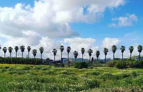 Almadita ROOMS - Foto 27