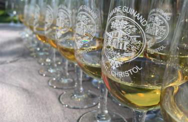 Gîte au coeur d'un domaine viticole - Foto 14