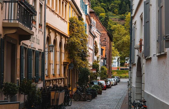 Heidelberg Castle and City Day Tour from Frankfurt - Photo 5