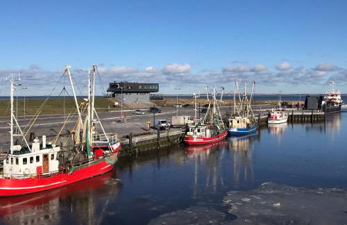Feriendomizil Dornum Haus Willy mit Wintergarten und Wallbox - Foto 38