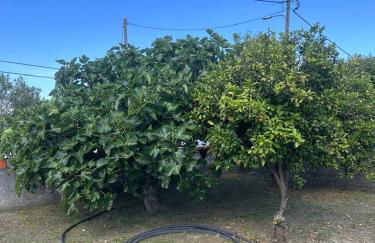 Casa Silva Barreiro - Foto 14