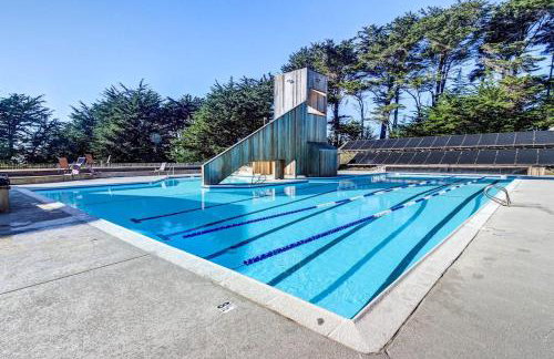 Wild Meadow - Photo 34