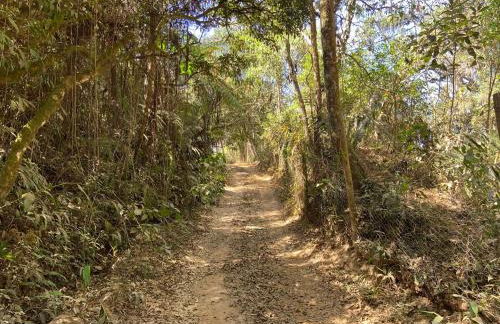 Cabana Floresta Amada - Photo 22