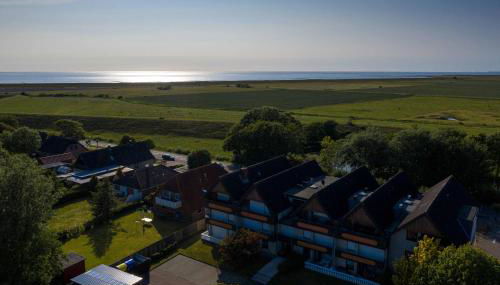 Seepferdchen - Foto 2