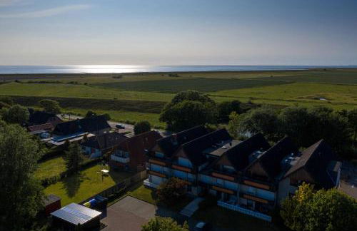 Seepferdchen - Foto 2