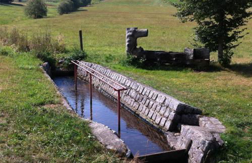 Ferienwohnung Waldblick - Foto 23