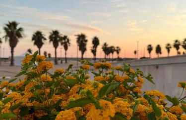 NT tourist accommodation - Foto 34