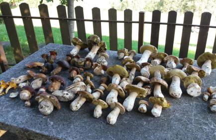 Il Giardino Segreto - Foto 43