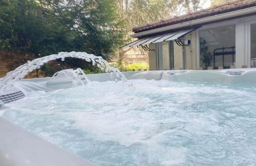 Maison avec jardin et jacuzzi proche Polytechnique - Foto 47