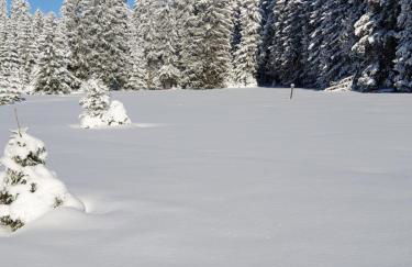 Erzgebirgshütte - Photo 22