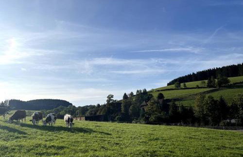 Weideblick, traumhaft wohnen im Schwarzwald - Foto 52