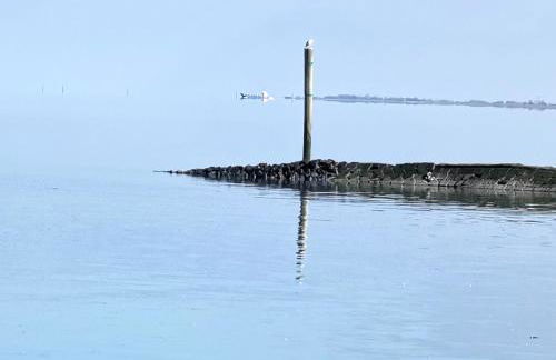 Ferienwohnung 1 Nordsee Gulfhof Dornum - mit großem Garten - Foto 1