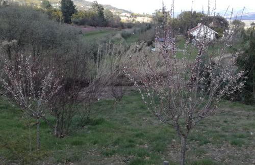 Quinta Rural - Nossa Sra do Carmo. Teixoso - Foto 56