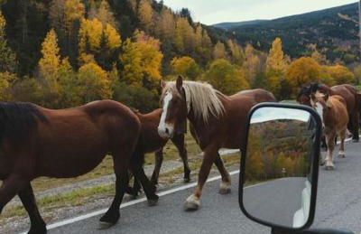 El Piolet de Camprodon - Photo 6
