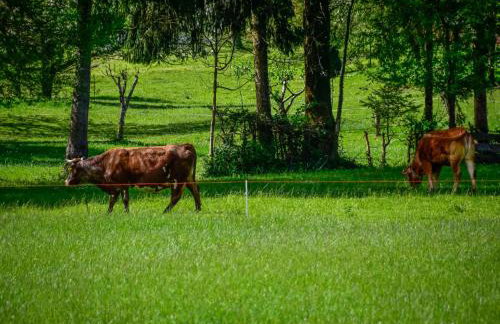 Holiday Home Relax & Play by Interhome - Foto 138