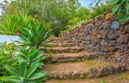 Apartments Finca El Rincón - Foto 41