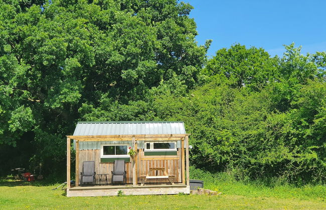 Dartmoor Reach Alpaca Farm - Foto 45