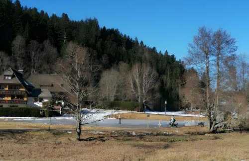 Chalet-Sonnengarten - Foto 20