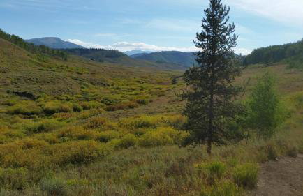 Wintersong - Foto 36