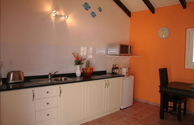 Blachi Koko Apartments Bonaire - Foto 15