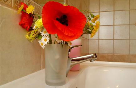 Agriturismo Chiai Francesco - Foto 29